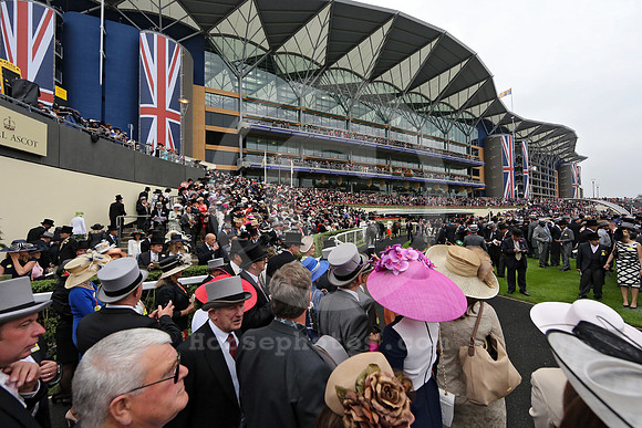 royalascot_fashion138_fs