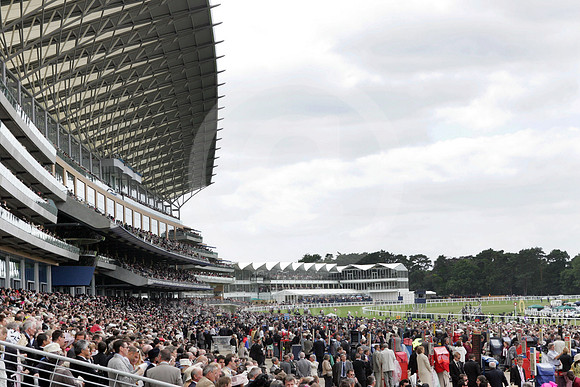 ascot_grandstand11_fs