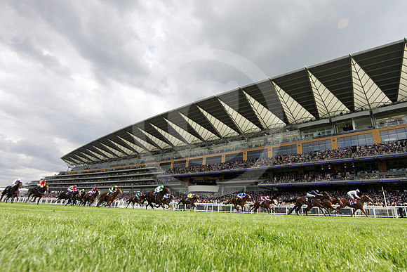 ascot_grandstand57_fs