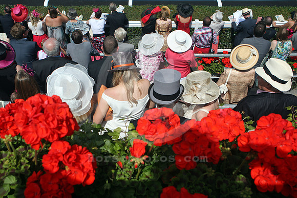 ascot_fashion349_fs