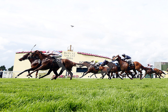 royalascot24_fs