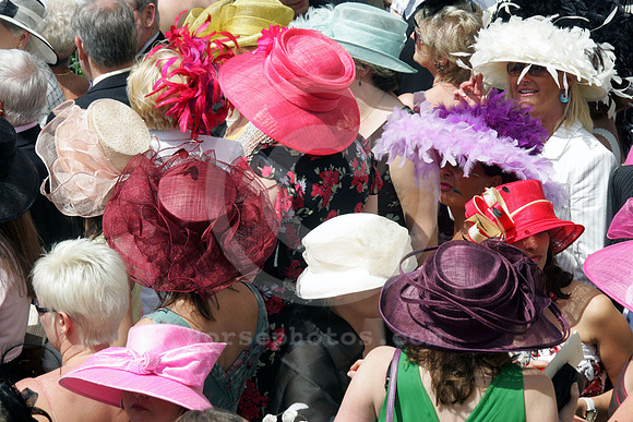 ascot_fashion_hat15_fs