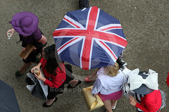 ascot_audience53_fs