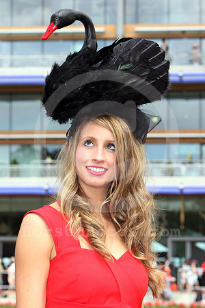 ascot_fashion364_fs
