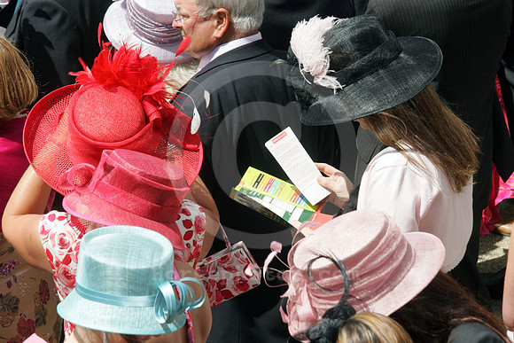 ascot_fashion_hat12_fs