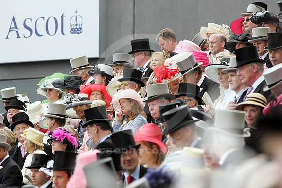 ascot_crowd24_fs