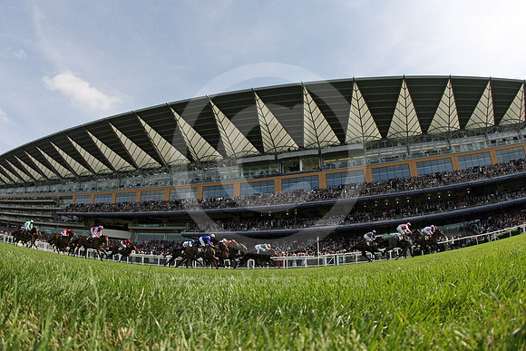 ascot_grandstand49_fs