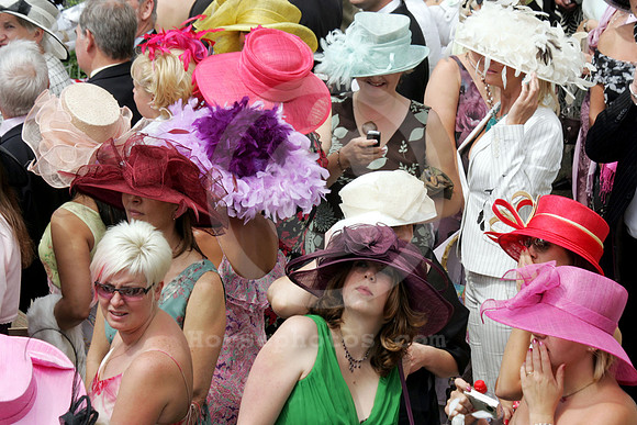 ascot_fashion_hat14_fs