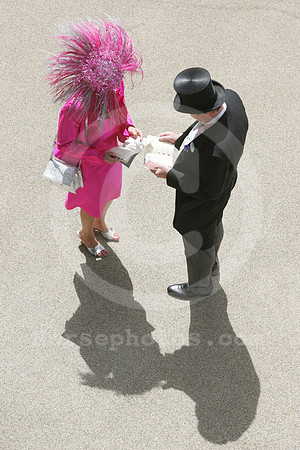 ascot_fashion_hat03_fs