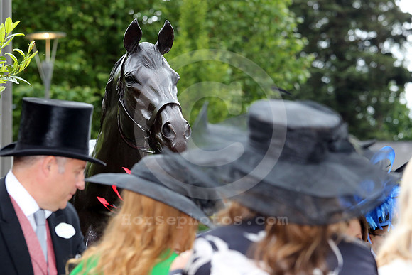 Royalascot_fashion192_fs