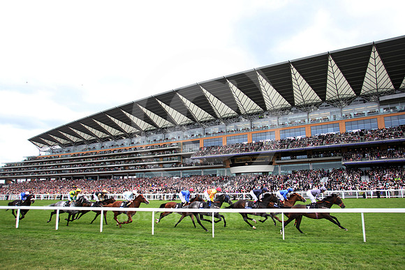 ascot_grandstand185_fs