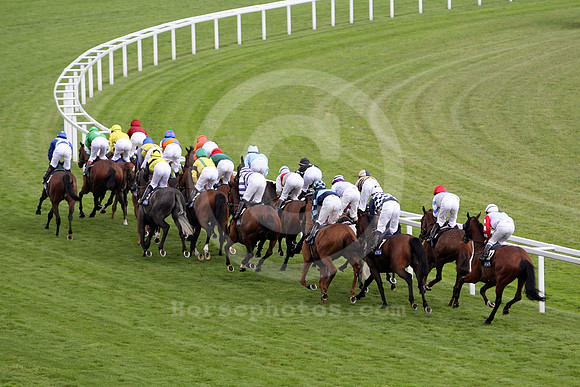 ascot_horses37_fs