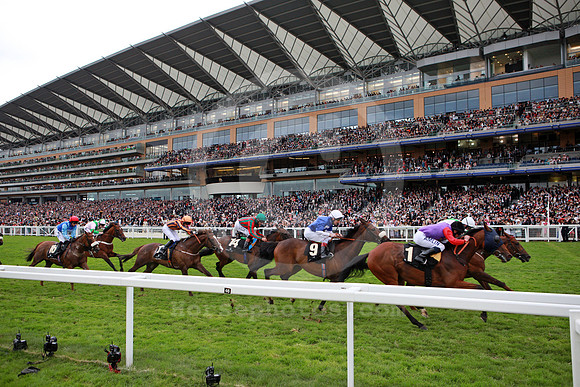 ascot_grandstand44_fs