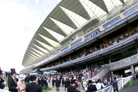 ASCOT037_fs