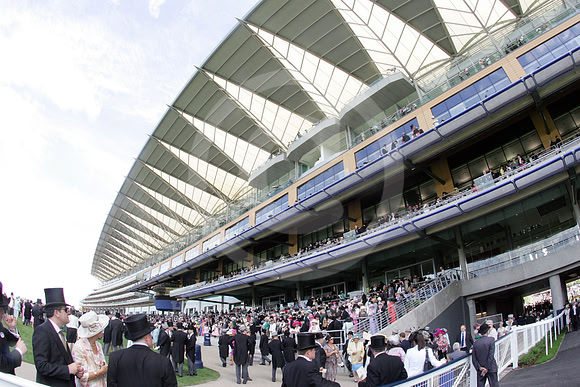 ASCOT037_fs