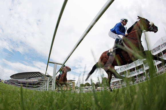 ascot_grandstand54_fs