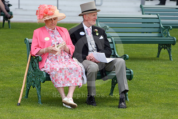 ascot_fashion351_fs
