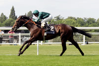 ASCOT040_fs