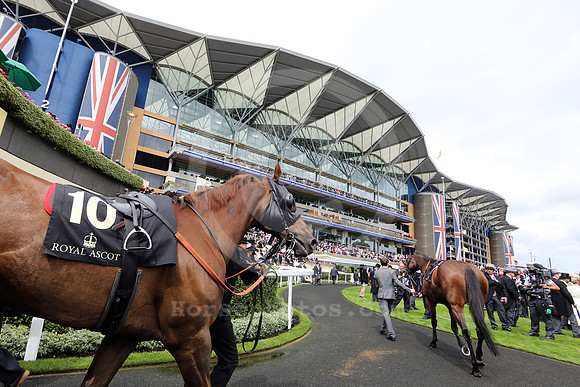 royalascot69_fs