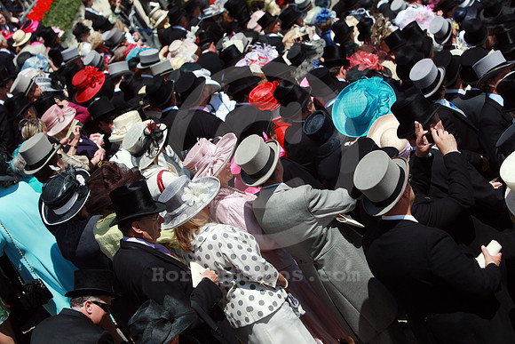 ascot_fashion317_fs