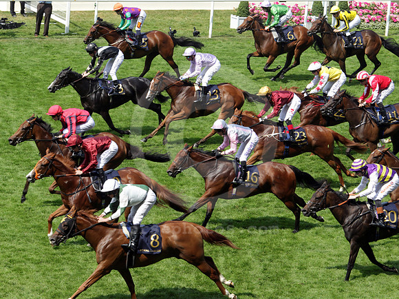 royalascot85_fs