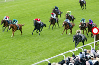 ASCOT035_fs