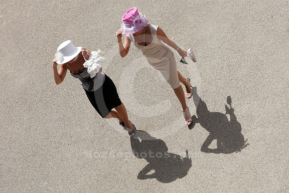ascot_fashion_hat05_fs