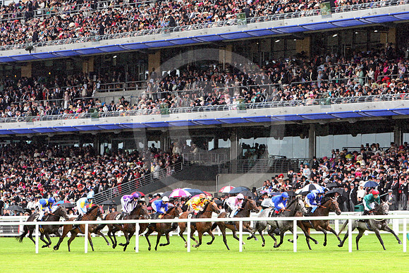 ascot_grandstand60_fs