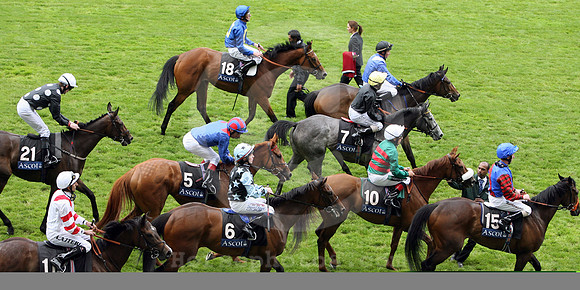 ascot_horses40_fs