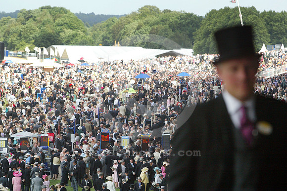 ascot_crowd20_fs
