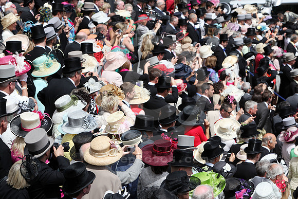 ascot_audience105_fs