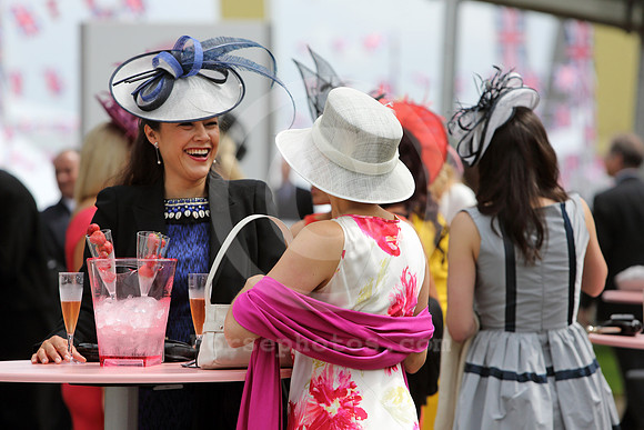 ascot_fashion388_fs