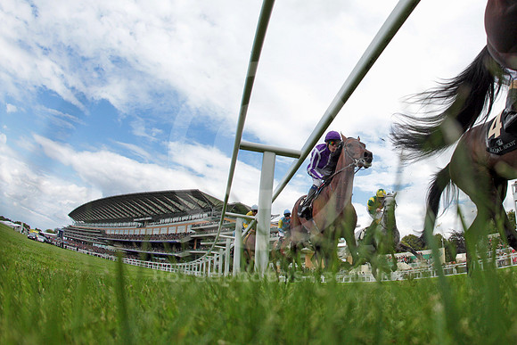 ascot_grandstand53_fs