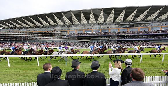 royalascot77_fs