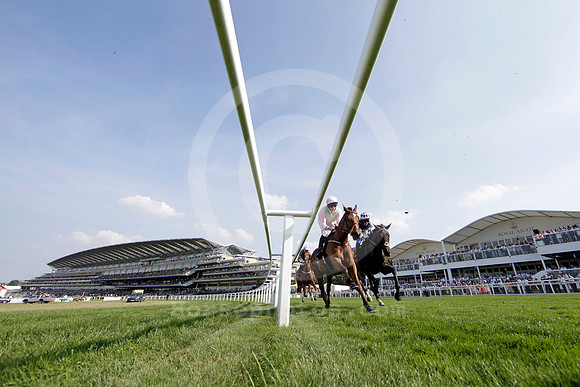 royalascot80_fs