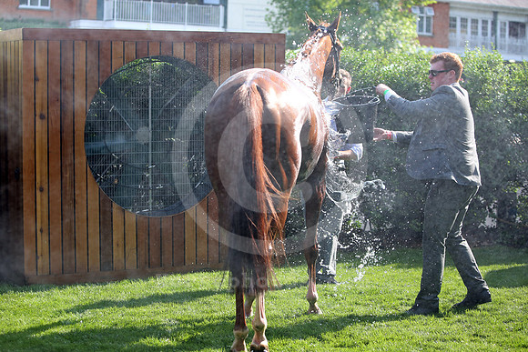 royalascot83_fs