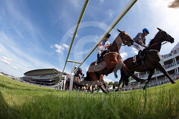 ascot_grandstand45_fs