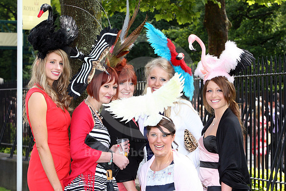 ascot_fashion366_fs