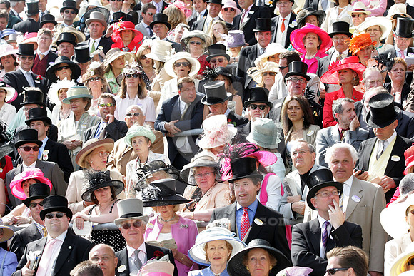 ascot_crowd25_fs