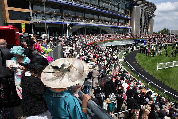 ascot_audience_grandstand102_fs
