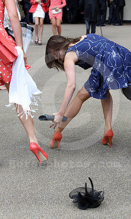 ascot_fashion402a_fs