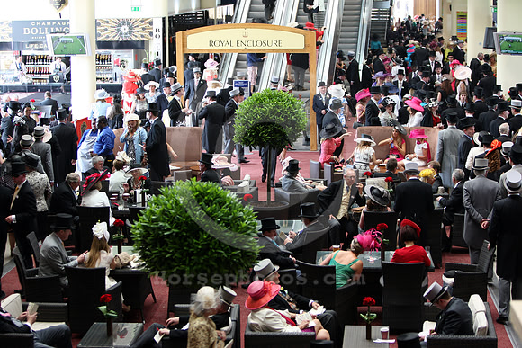 ascot_audience46_fs