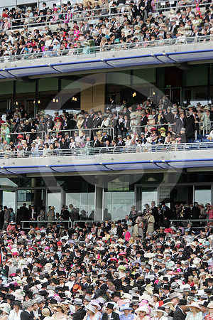 ascot_crowd10_fs