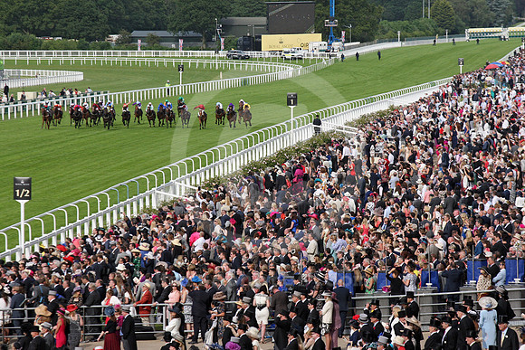 ascot_racecourse05_fs