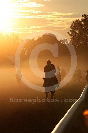 saratoga morning