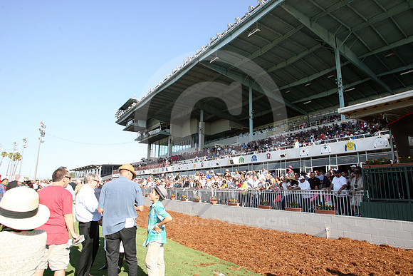 losalamitos08_cg