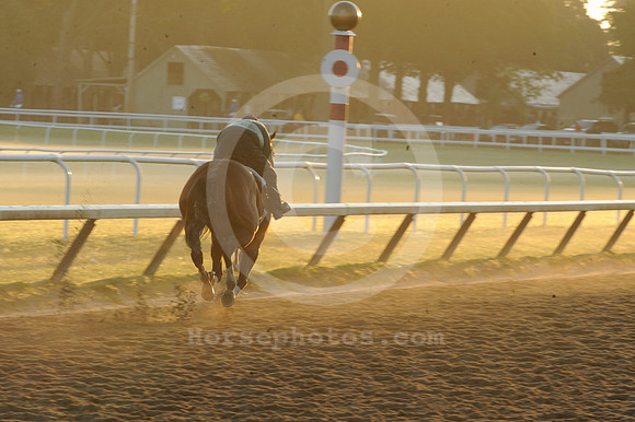 saratoga morning