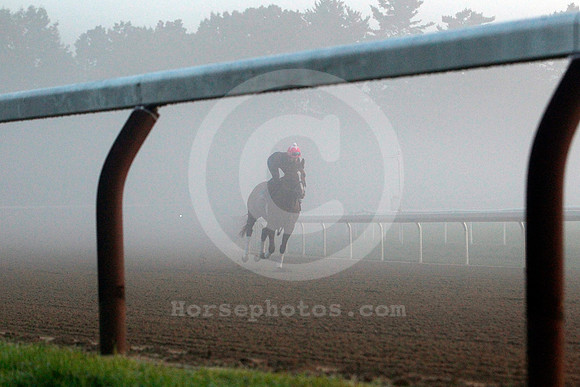 saratoga_morning257