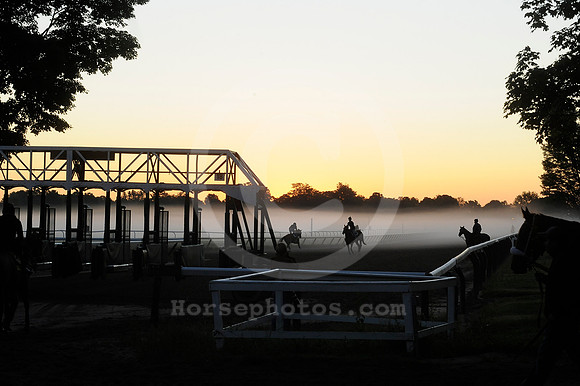 saratoga morning