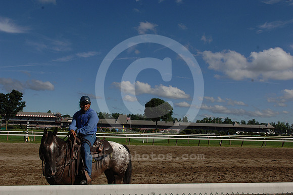 saratoga morning